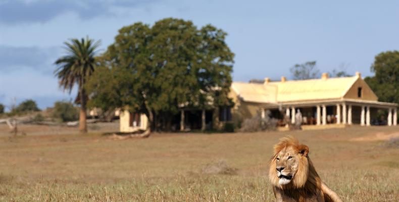 Gorah Elephant Camp Lodge 